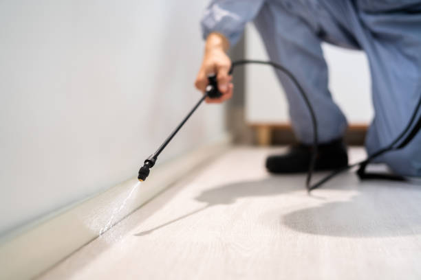 Licensed Termite Control service in St. Johns, AZ - Nex Pest Control