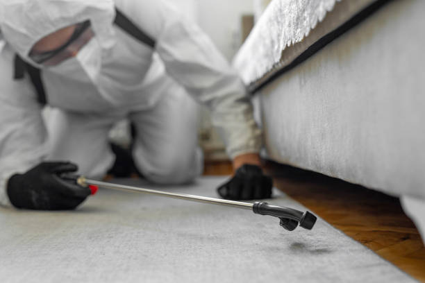 Professional Termite Control technician working in St. Johns, AZ