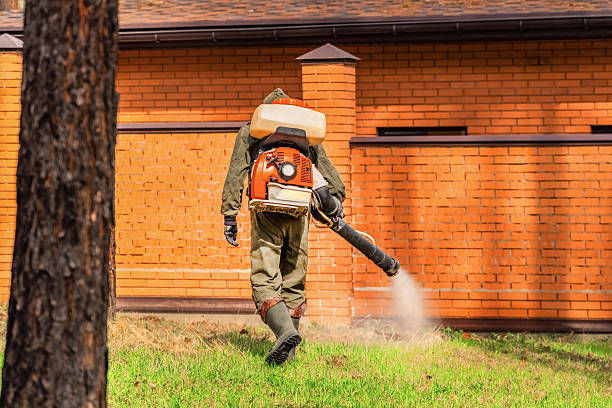 Top rated local Termite Control specialists in St. Johns, AZ